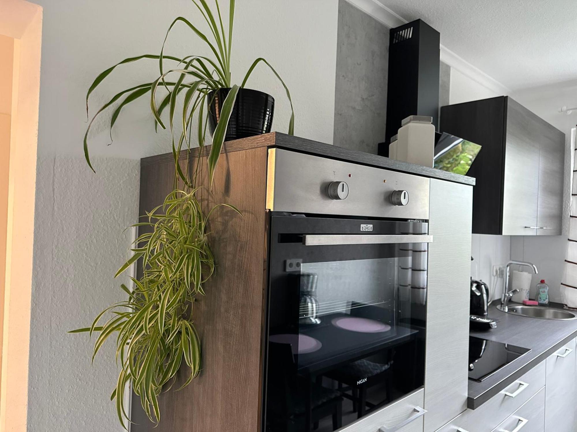 In Suedstadt Appartement Hattingen
