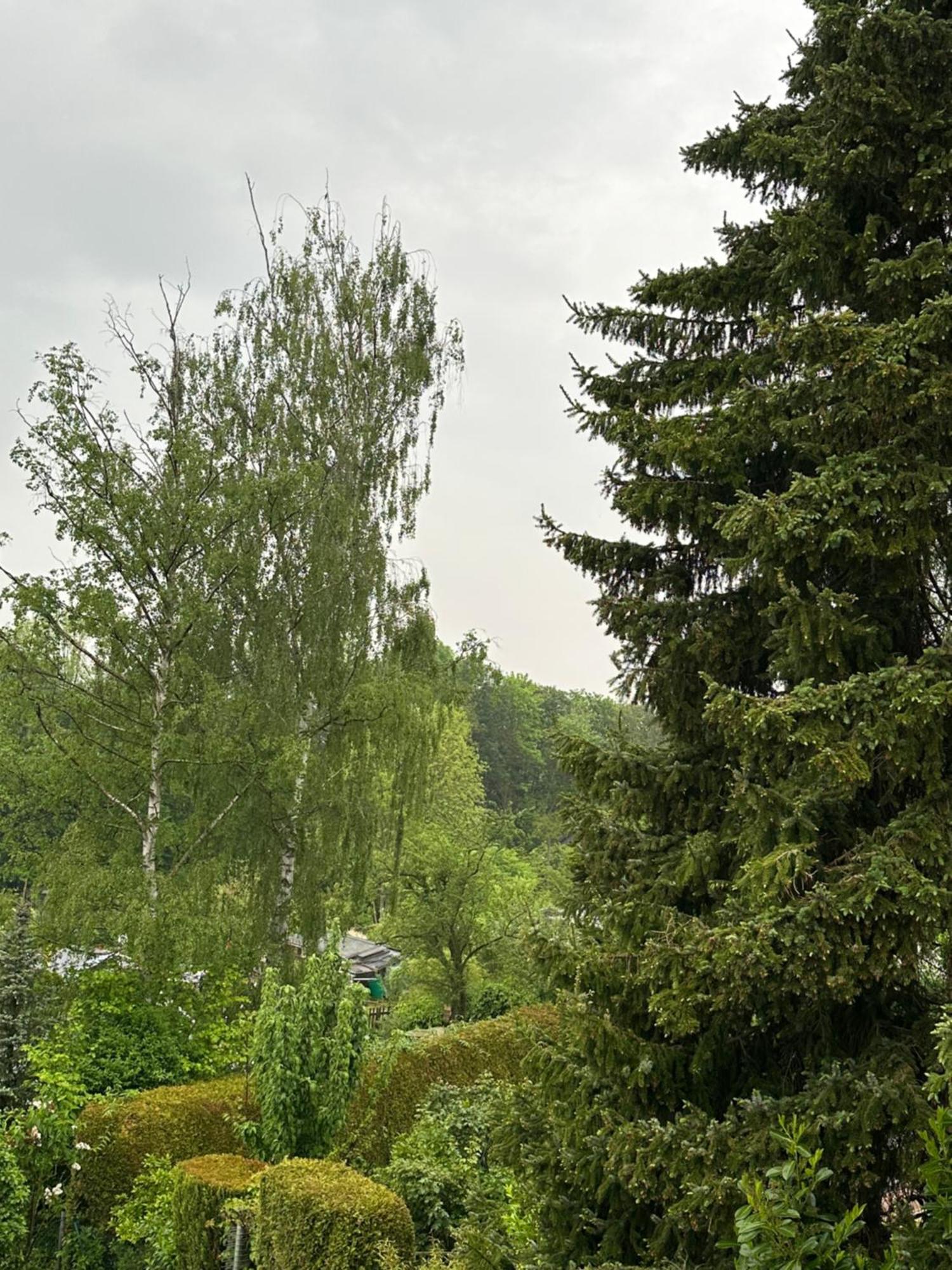In Suedstadt